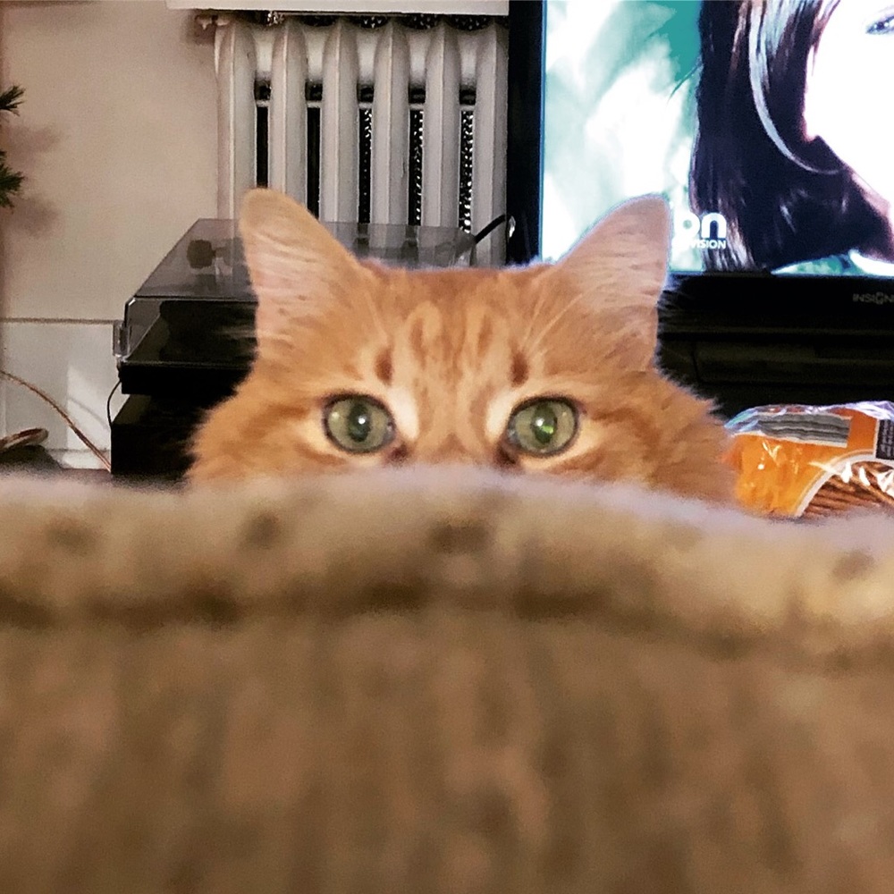 Meet your Posher, Jen